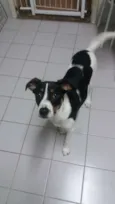 Marley