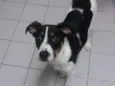 Marley