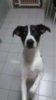 Marley