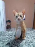Não tem nomes