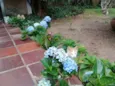 CORAÇÃOZINHO