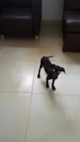 Nao tenho