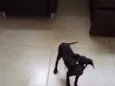 Nao tenho