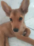 Ruby