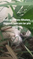 Sem nome