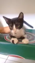 Frederico