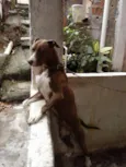 Luíza