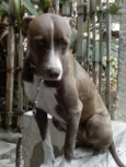 Luíza