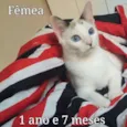 Varios