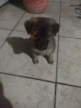 Maggie 
