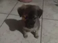 Maggie 