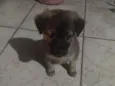 Maggie
