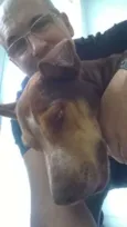 Bonita