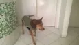 Bonita