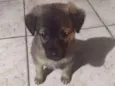 Maggie 