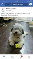 Bolota