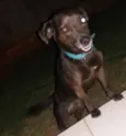 Zulu