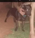 Zulu