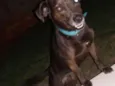 Zulu