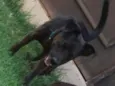 Zulu