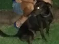 Zulu