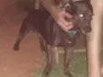 Zulu