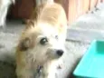 Milly