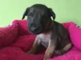 Paulinha