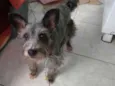 Barhô