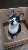 Barry