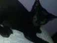 Não tem