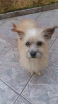 Nina