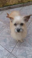 Nina