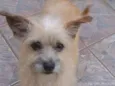 Nina