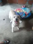 MEG