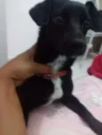 Nick