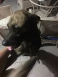 Boris