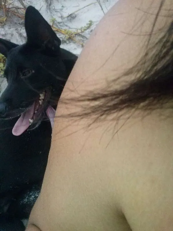 Cachorro ra a Viralata idade 1 ano nome Nina