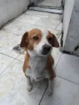 Menina