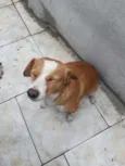Menina