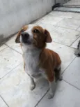 Menina