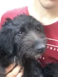 tina