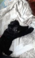 tina