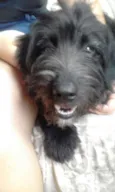 tina