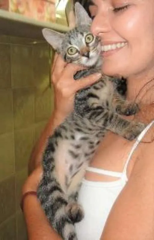 Gato ra a SRD idade 2 a 6 meses nome Maria Filó