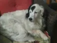 Billy