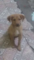 Captu