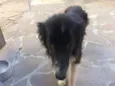Jonas