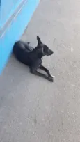 LUA