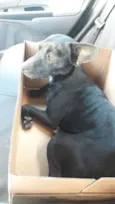 LUA